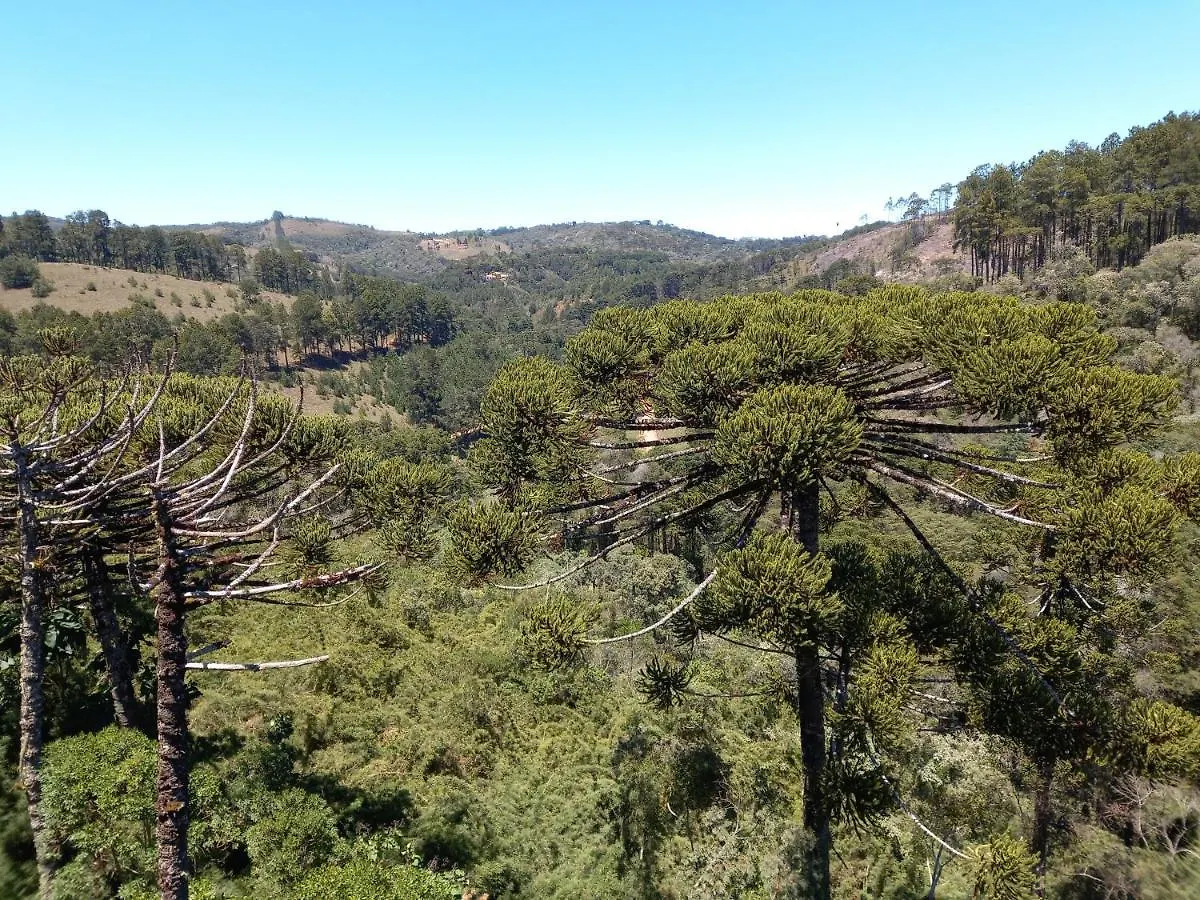 Apto Nas Montanhas Campos do Jordao Brazil
